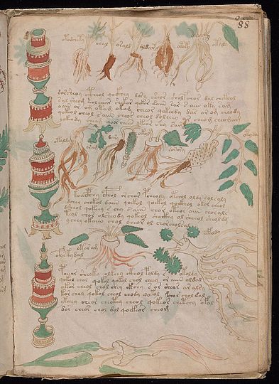 Grafik Beispiel Voynich.